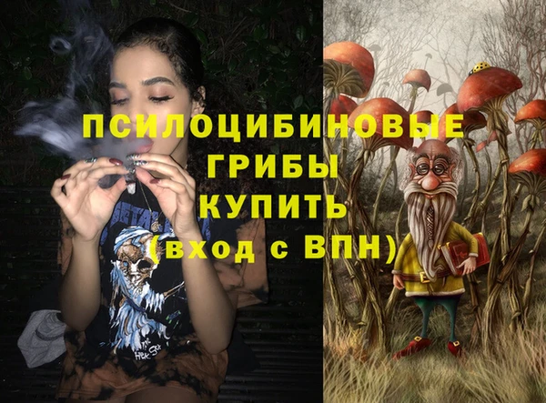 дмт Балахна